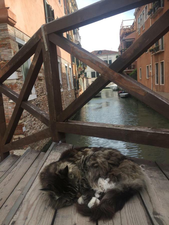 Tintoretto 1 Con Terrazza Sopra Il Tetto, 3 Bagni, 3 Grandi Camere Da Letto, Super Nuovo Venice Ngoại thất bức ảnh